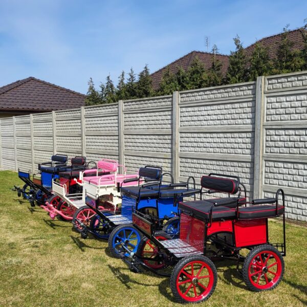 KR Carts and Harness Mini Carriage