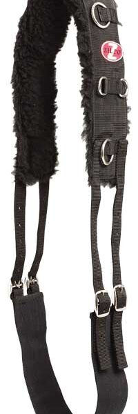 Breaking Set Roller Complete With Side Reins